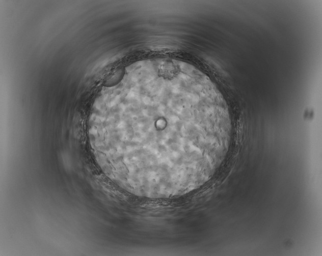 X0000111230917200907231500