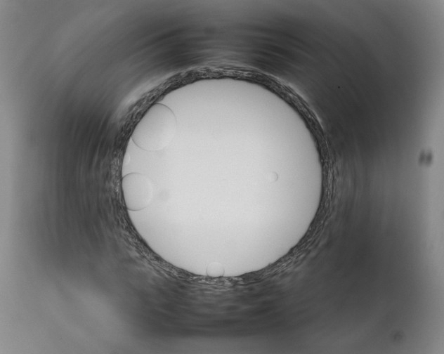 X0000111230919200907231500
