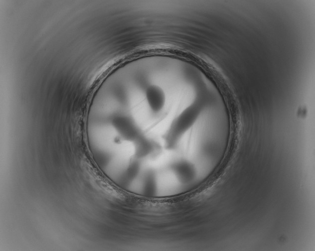 X0000111230921200907231501