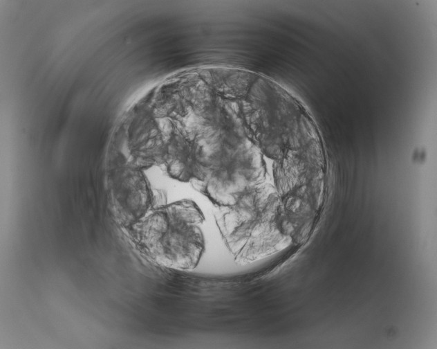 X0000111230925200907231501