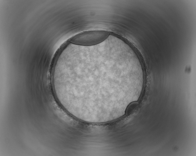 X0000111230928200907231501