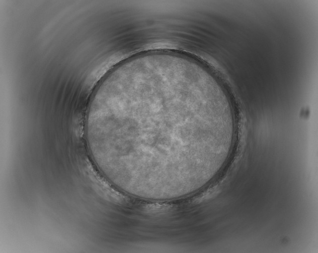 X0000111230929200907231501