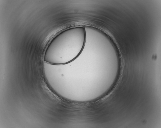 X0000111230930200907231501