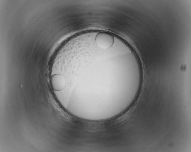 X0000111230931200907231501