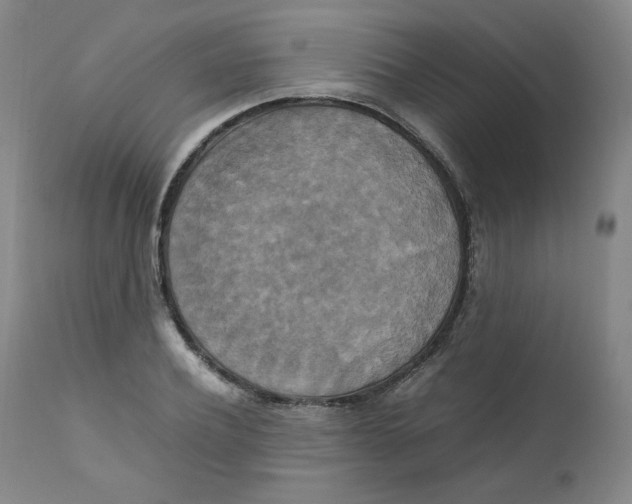 X0000111230932200907231501