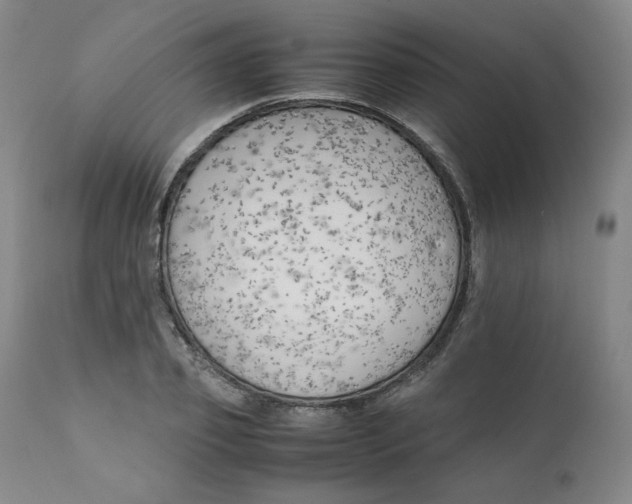 X0000111230933200907231501