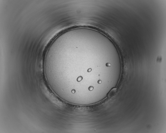 X0000111230934200907231501