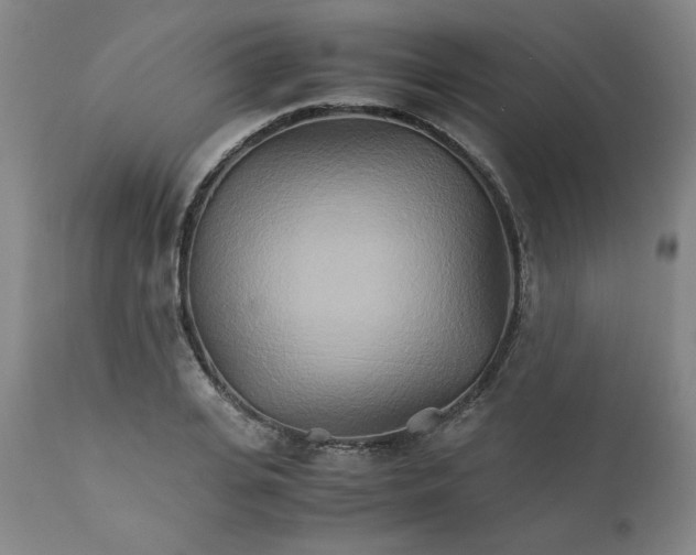 X0000111230935200907231501