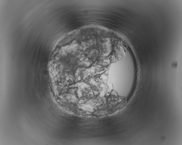 X0000111230937200907231501