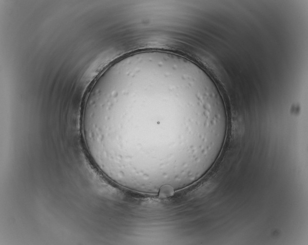 X0000111230938200907231501