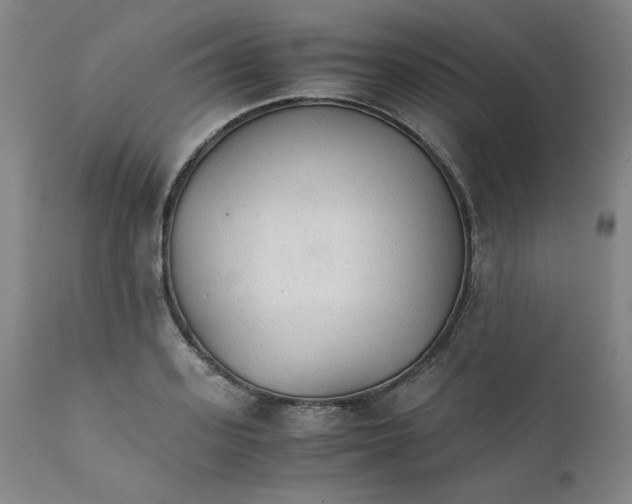 X0000111230939200907231501