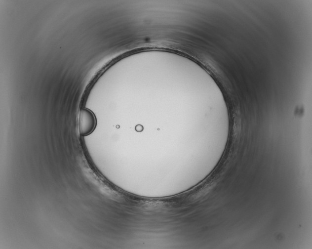 X0000111230940200907231501