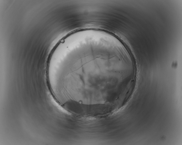 X0000111230941200907231501