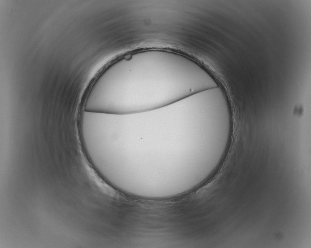 X0000111230942200907231501