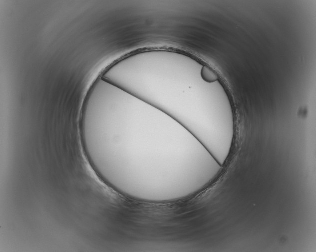 X0000111230943200907231501