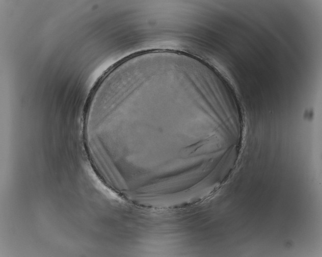 X0000111230944200907231501