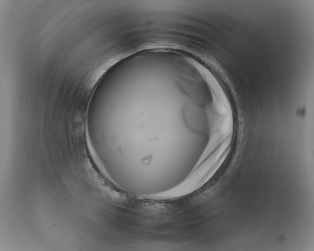 X0000111230945200907231501