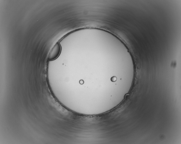 X0000111230948200907231501