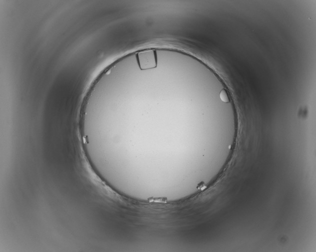 X0000111230950200907231501