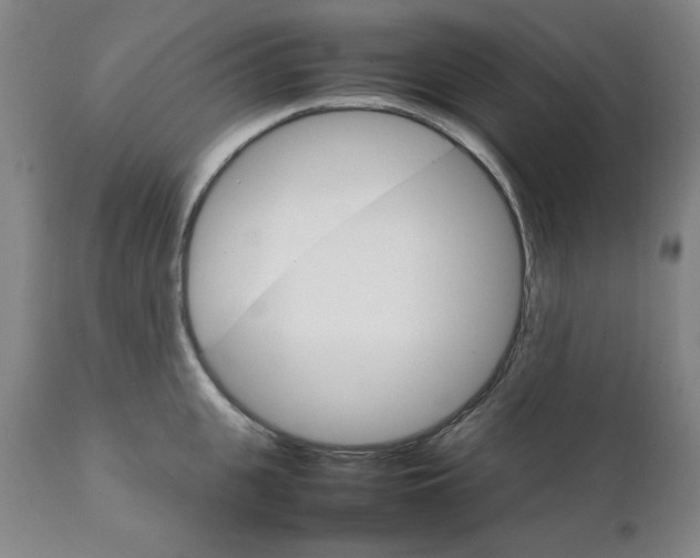 X0000111230951200907231501