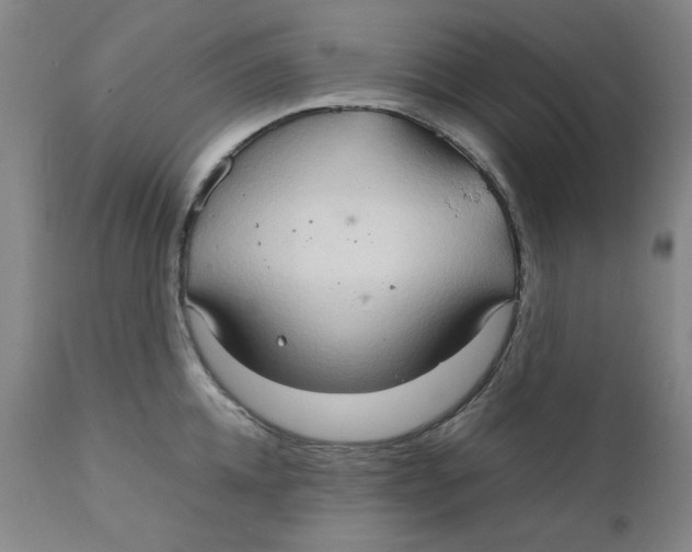 X0000111230952200907231501