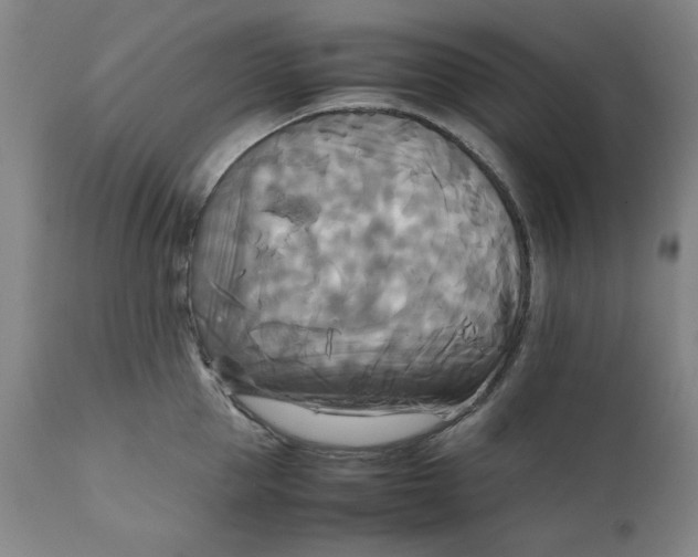 X0000111230953200907231501