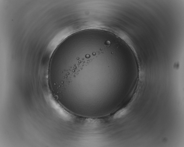 X0000111230954200907231501