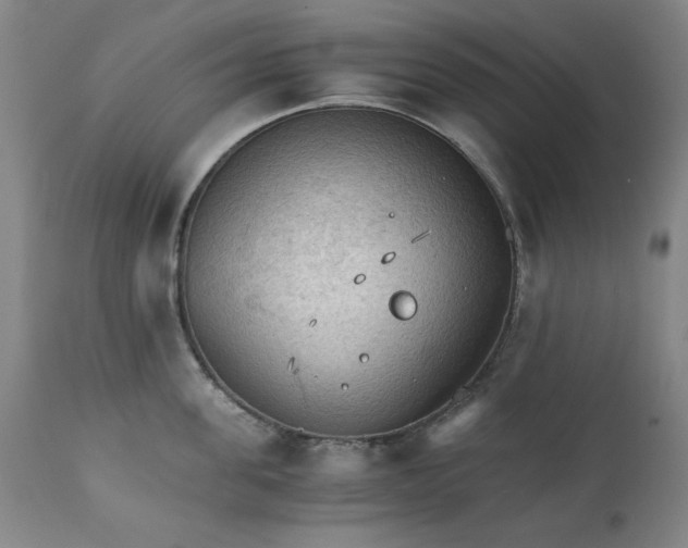 X0000111230955200907231501