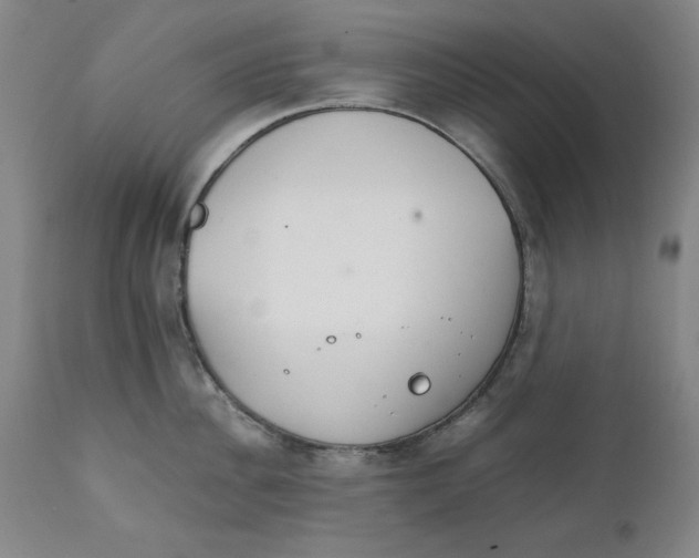 X0000111230956200907231501