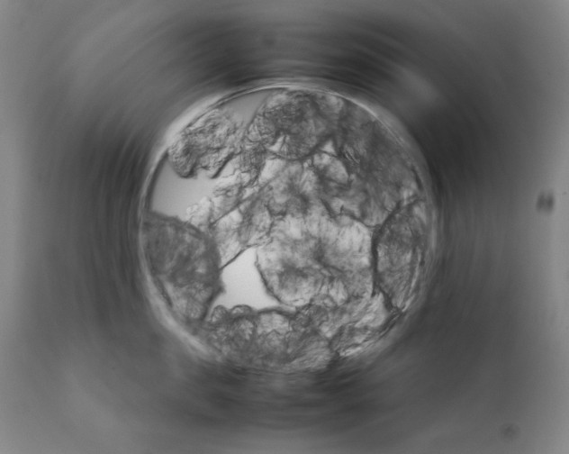 X0000111230957200907231501