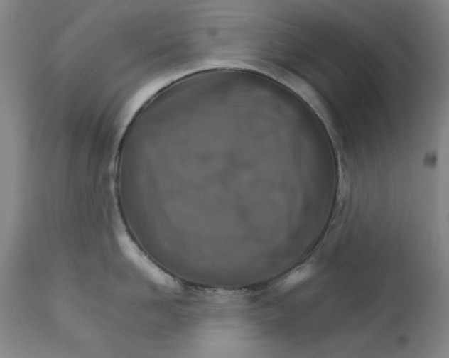 X0000111230958200907231501