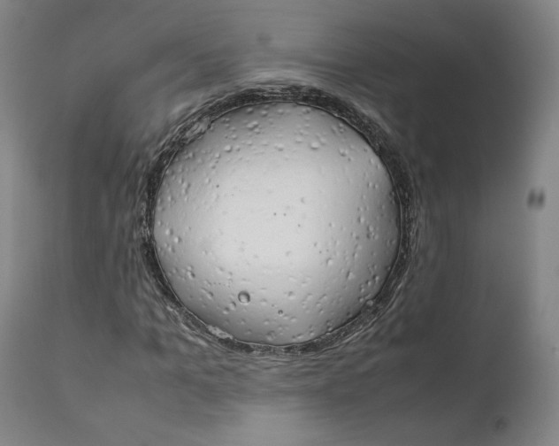 X0000111230965200907231500
