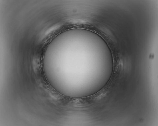 X0000111230966200907231500
