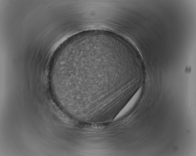 X0000111230975200907231500