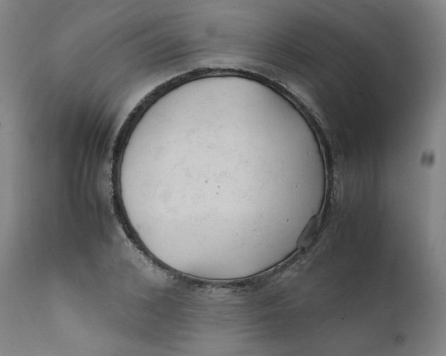 X0000111230976200907231500