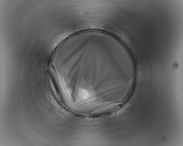 X0000111230977200907231500