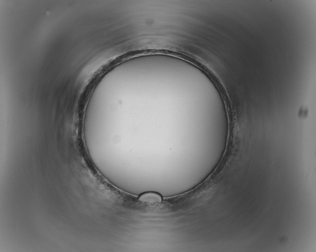 X0000111230979200907231500