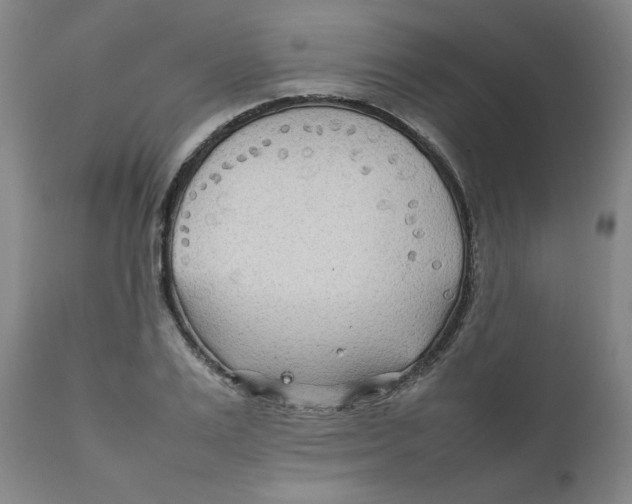 X0000111230983200907231500