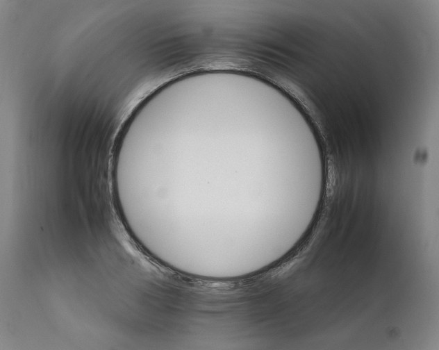 X0000111230986200907231500