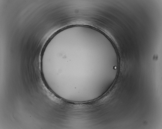 X0000111230988200907231500
