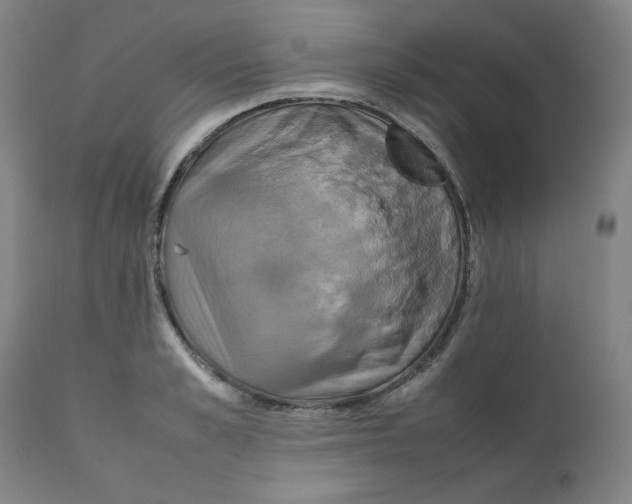 X0000111230989200907231500