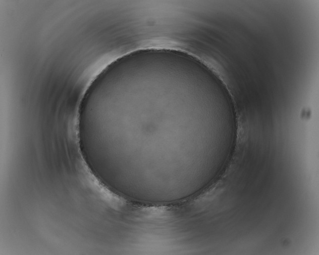 X0000111230990200907231500