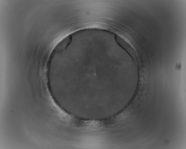 X0000111230991200907231500