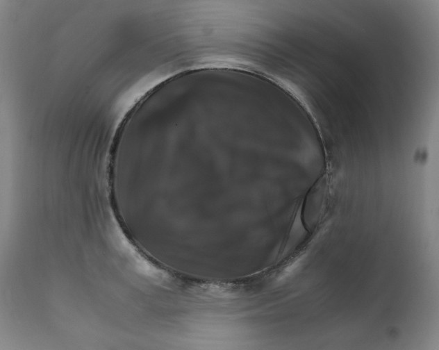 X0000111230995200907231500