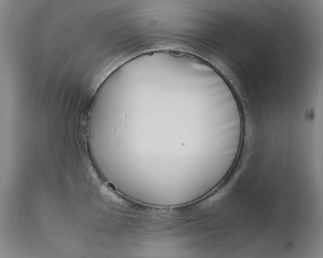 X0000111231001200907231500