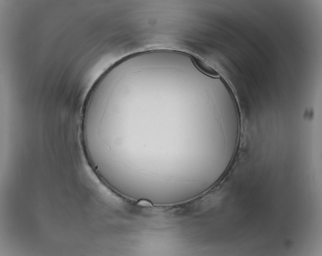 X0000111231005200907231500