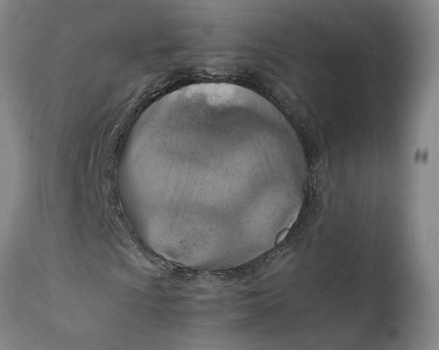 X0000111231009200907231459