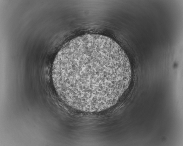 X0000111231010200907231459