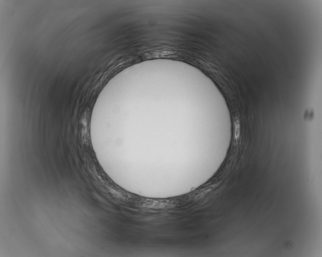 X0000111231011200907231459