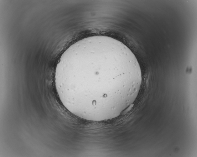 X0000111231012200907231459